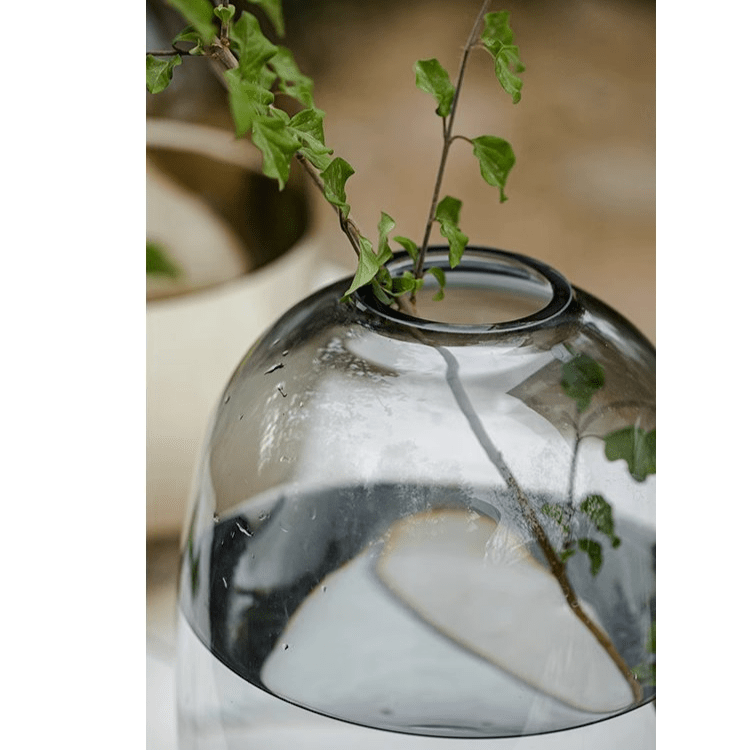 Modern Clear Glass Vase - RusticReach