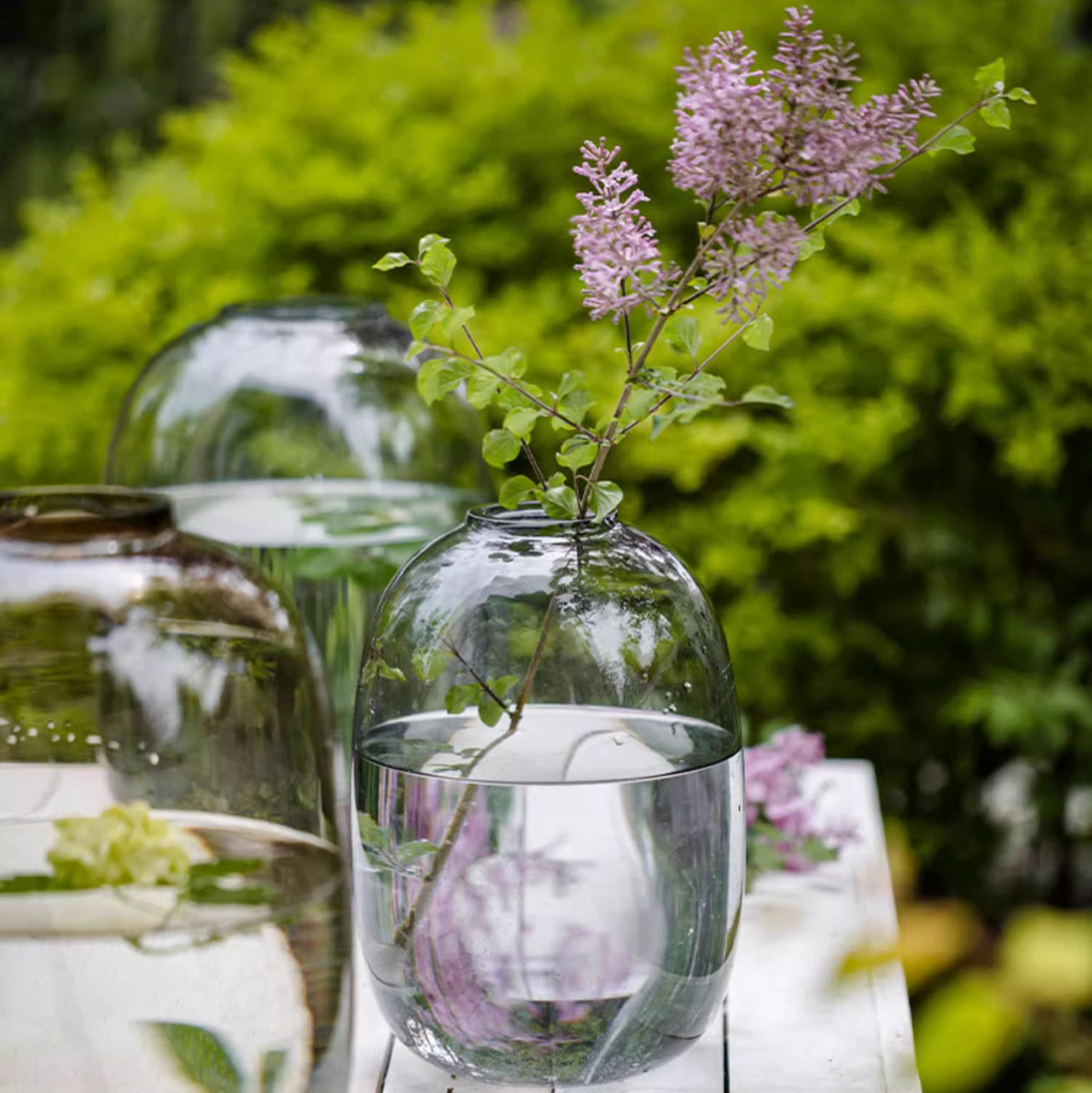 Glass Vases: Short Glass Vessels & Long Glass Vases