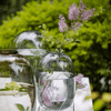 Modern Clear Glass Vase - RusticReach
