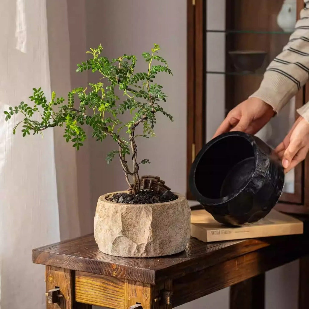 Mesa Cement Pot Planter - RusticReach