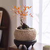 Mesa Cement Pot Planter - RusticReach