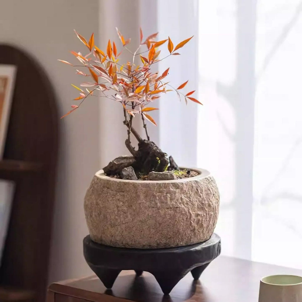 Mesa Cement Pot Planter - RusticReach