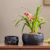 Mesa Cement Pot Planter - RusticReach