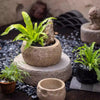 Mesa Cement Pot Planter - RusticReach