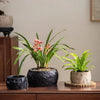 Mesa Cement Pot Planter - RusticReach