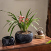 Mesa Cement Pot Planter - RusticReach