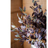 Midnight Plum Eucalyptus Stem 37.7" Tall - RusticReach