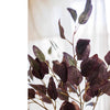 Midnight Plum Eucalyptus Stem 37.7" Tall - RusticReach