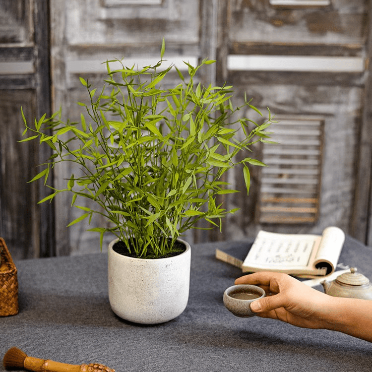 small potted bamboo plants Realistic Mini Bamboo Leaf Potted Plant – RusticReach