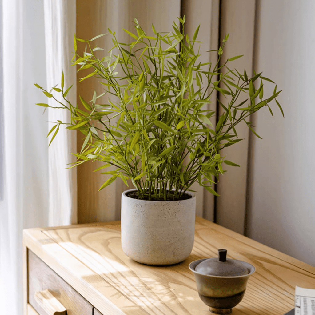potted bamboo plant Realistic Mini Bamboo Leaf Potted Plant – RusticReach