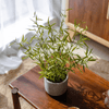 Realistic Mini Bamboo Leaf Potted Plant - RusticReach