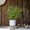 Realistic Mini Bamboo Leaf Potted Plant - RusticReach