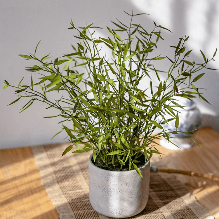 small bamboo house plants Realistic Mini Bamboo Leaf Potted Plant – RusticReach