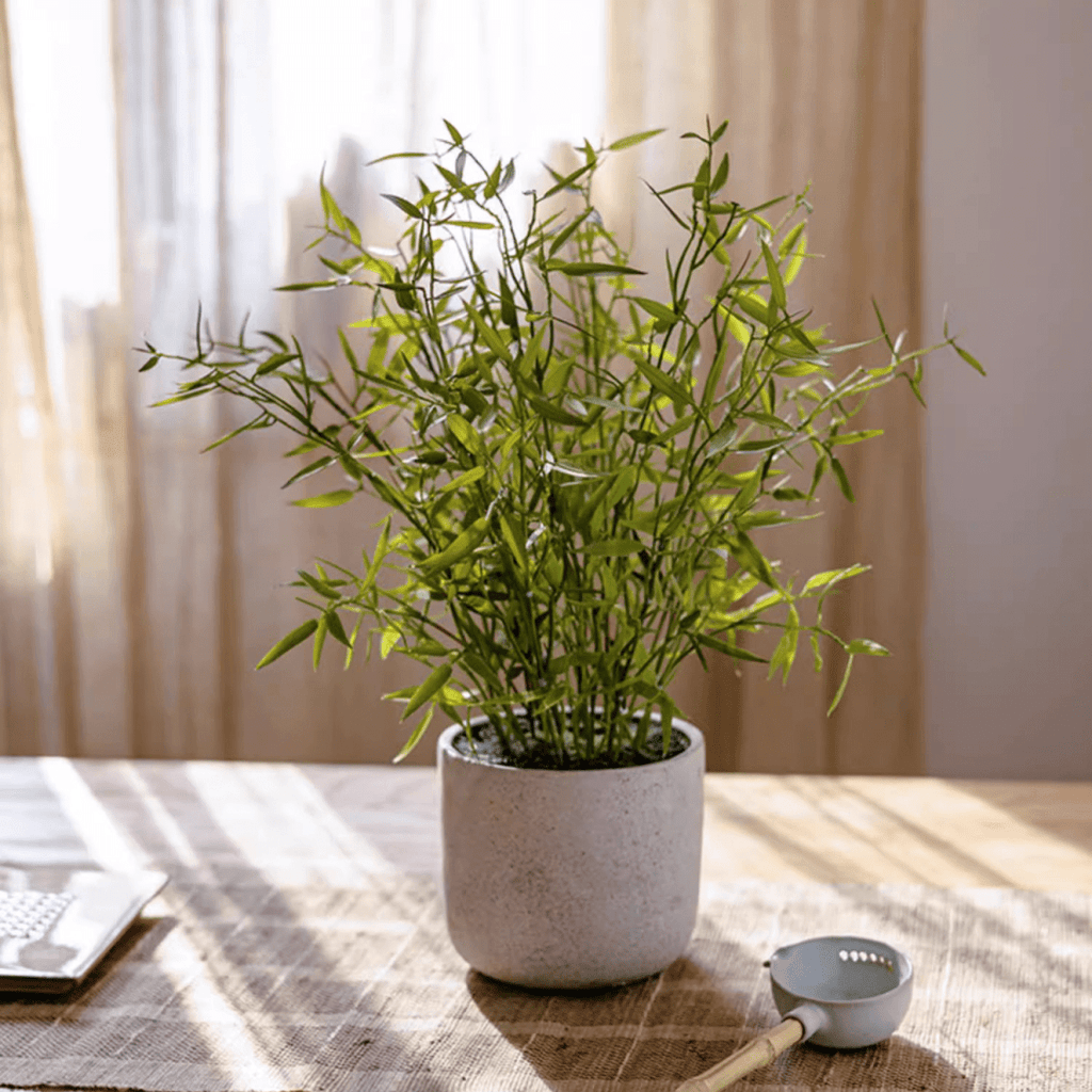potted bamboo plants Realistic Mini Bamboo Leaf Potted Plant – RusticReach