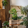 Mini Faux Potted Green Plant - RusticReach