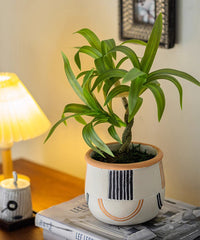 Mini Faux Potted Green Plant - RusticReach