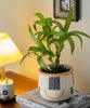 Mini Faux Potted Green Plant - RusticReach