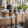 Backyard Metal Plant Stands - RusticReach