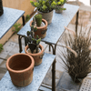Backyard Metal Plant Stands - RusticReach