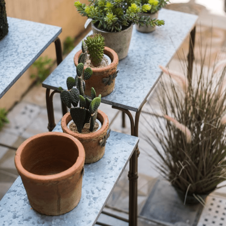 Backyard Metal Plant Stands - RusticReach