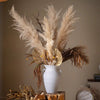 Natural Reed Stem 10 Stem Set 51" Tall - RusticReach