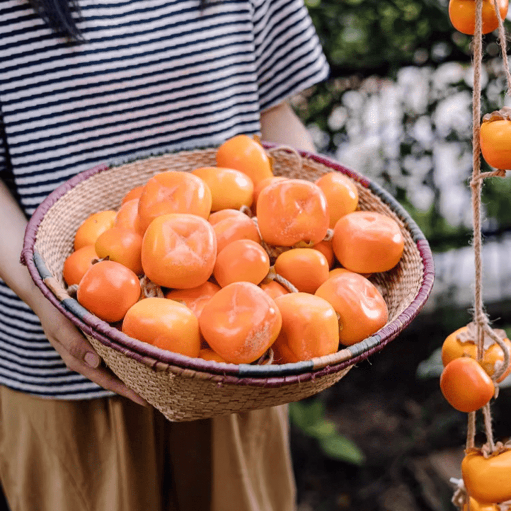 Artificial Persimmon Fruit String Decor 33.8" Long - RusticReach