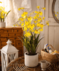Potted Faux Dancing Lady Orchid - RusticReach