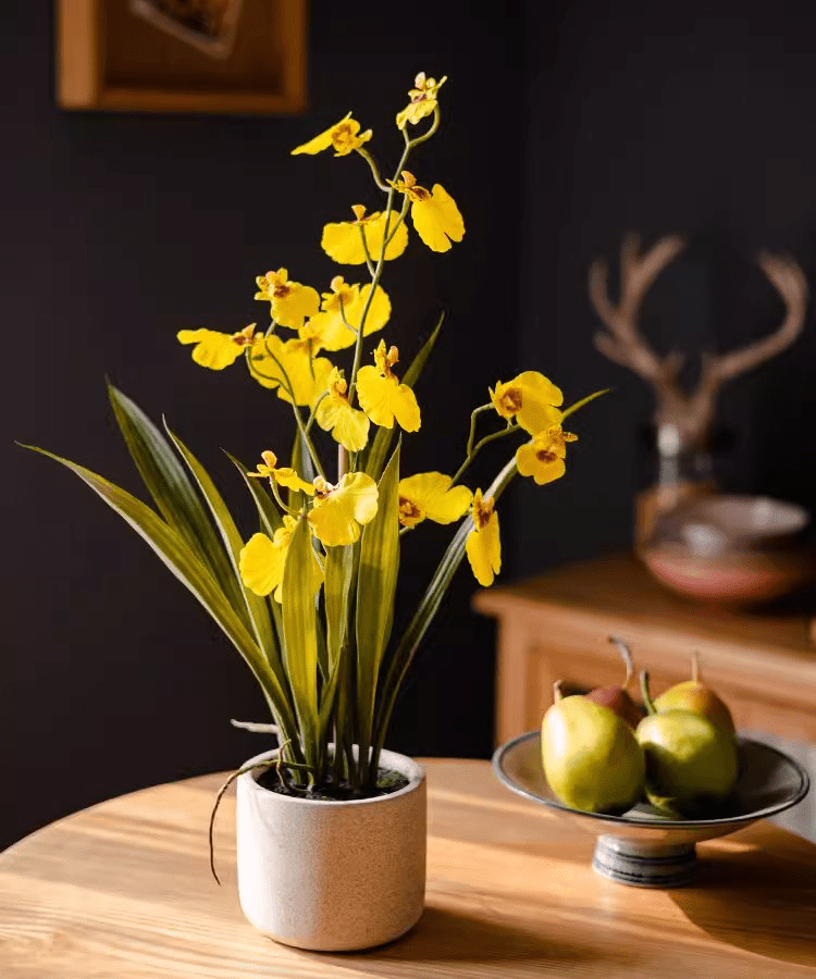 Potted Faux Dancing Lady Orchid - RusticReach