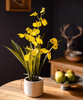Potted Faux Dancing Lady Orchid - RusticReach