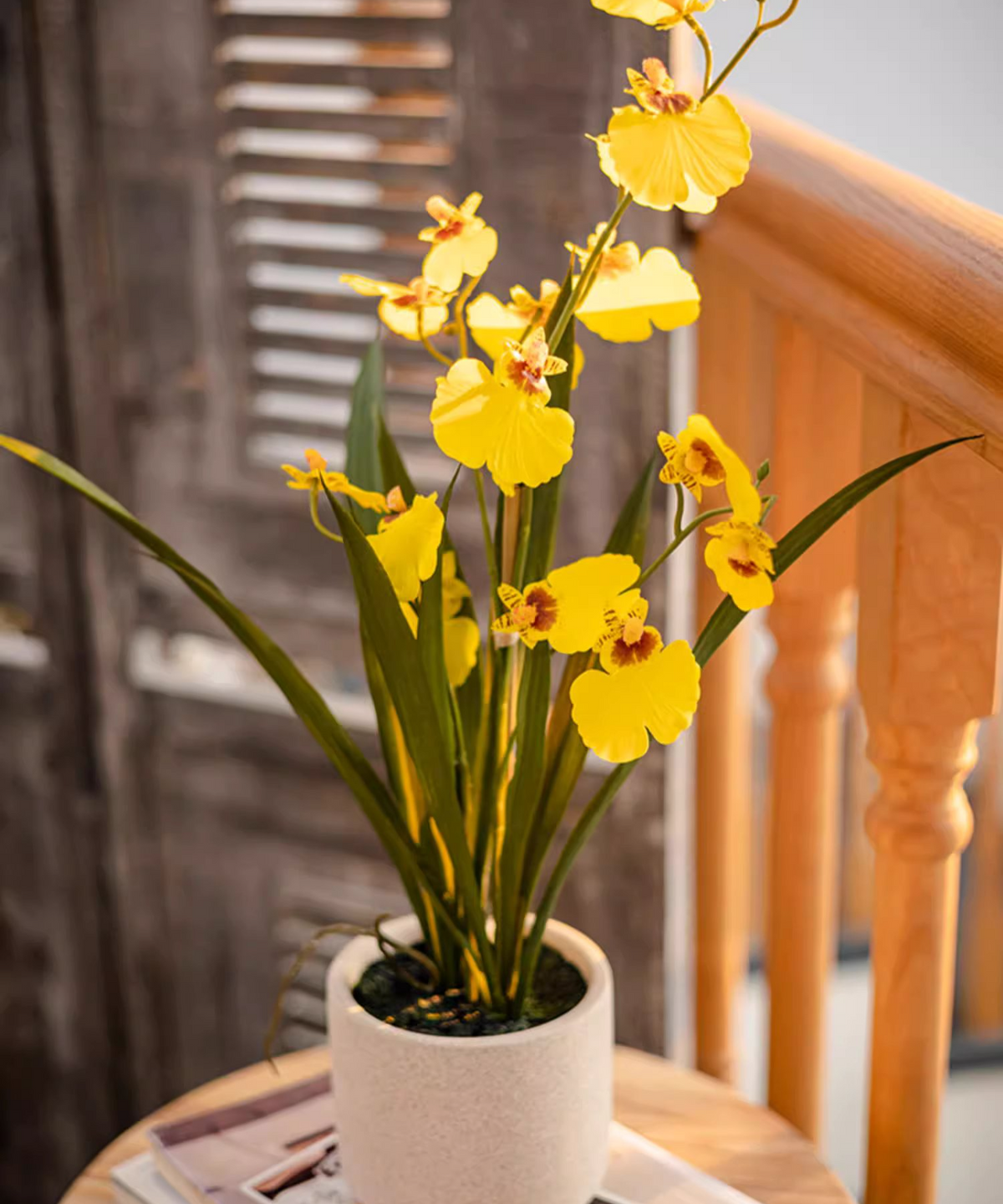 Potted Faux Dancing Lady Orchid