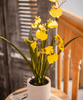 Potted Faux Dancing Lady Orchid - RusticReach