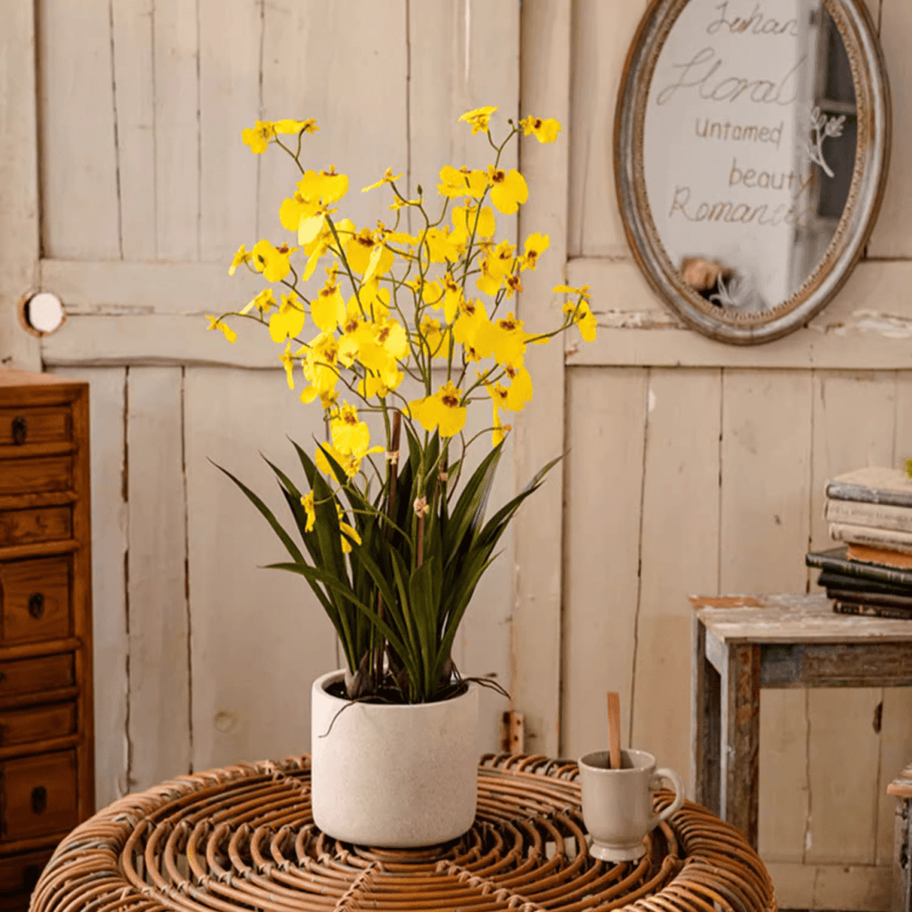 Potted Faux Dancing Lady Orchid – RusticReach