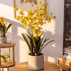 Potted Faux Dancing Lady Orchid - RusticReach