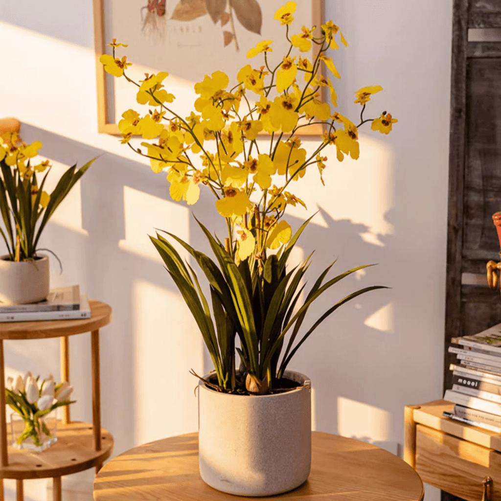 Potted Faux Dancing Lady Orchid - RusticReach
