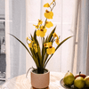 Potted Faux Dancing Lady Orchid - RusticReach