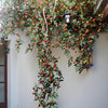 Orange Rose Vine Wall Décor Roses for Trellis and Backdrop - RusticReach