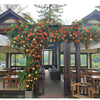 Orange Rose Vine Wall Décor Roses for Trellis and Backdrop - RusticReach