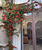Artificial Red Rose Climbing Garland for Walls - RusticReach