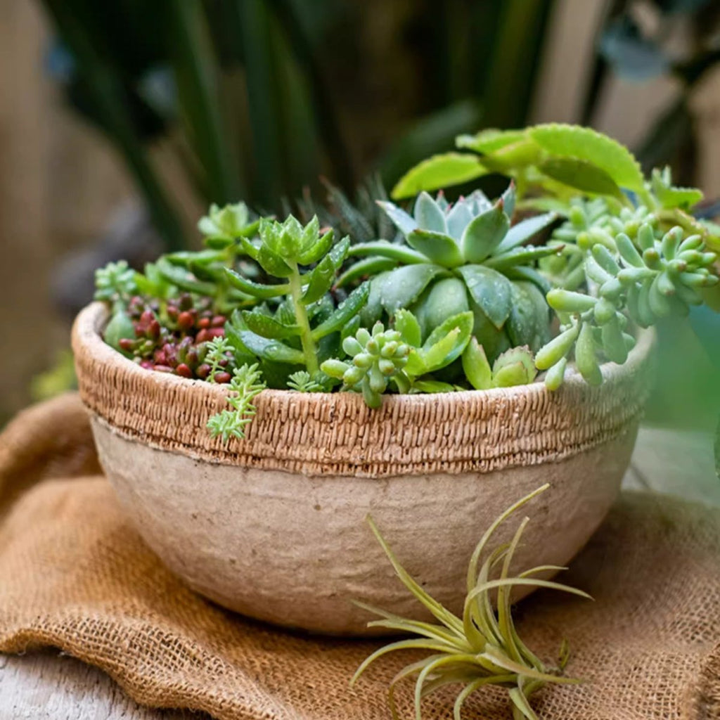 Rattan Pattern Edge Cement Planter - RusticReach