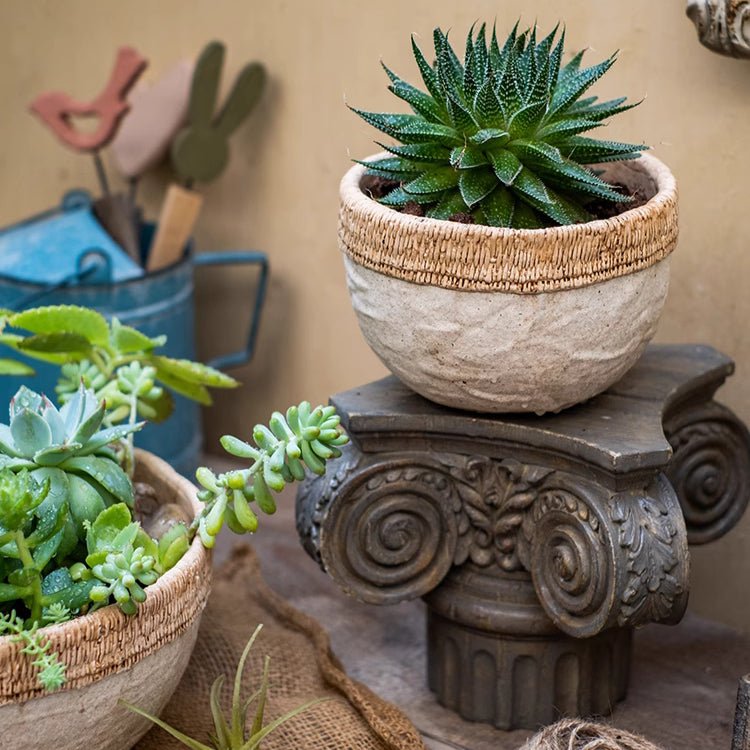 Rattan Pattern Edge Cement Planter - RusticReach