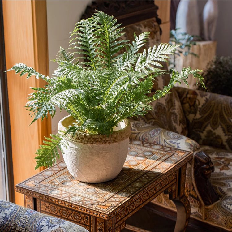 Rattan Pattern Edge Cement Planter - RusticReach