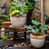 Rattan Pattern Edge Cement Planter - RusticReach