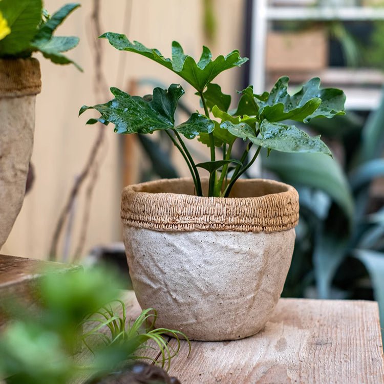 Rattan Pattern Edge Cement Planter - RusticReach