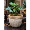 Rattan Pattern Edge Cement Planter - RusticReach