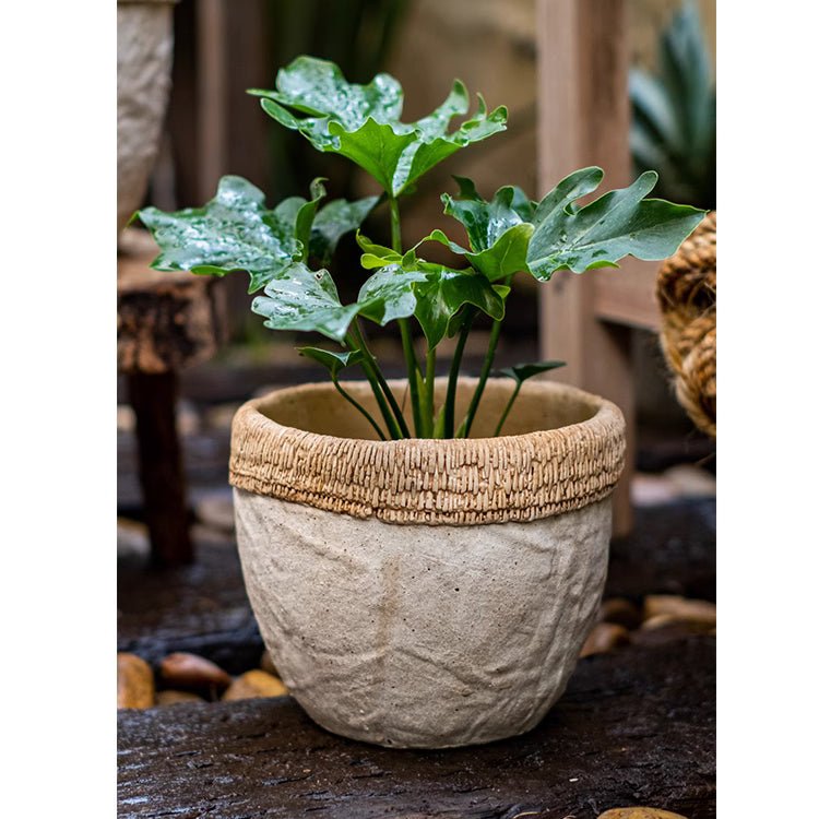 Rattan Pattern Edge Cement Planter - RusticReach