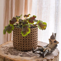 Rattan Texture Cement Planter - RusticReach