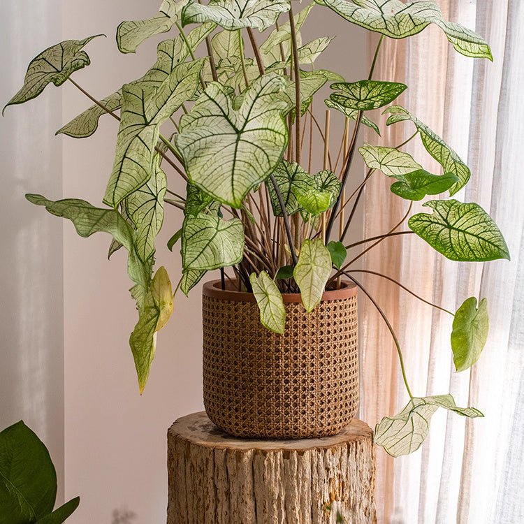 Rattan Texture Cement Planter - RusticReach