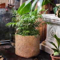 Rattan Texture Cement Planter - RusticReach