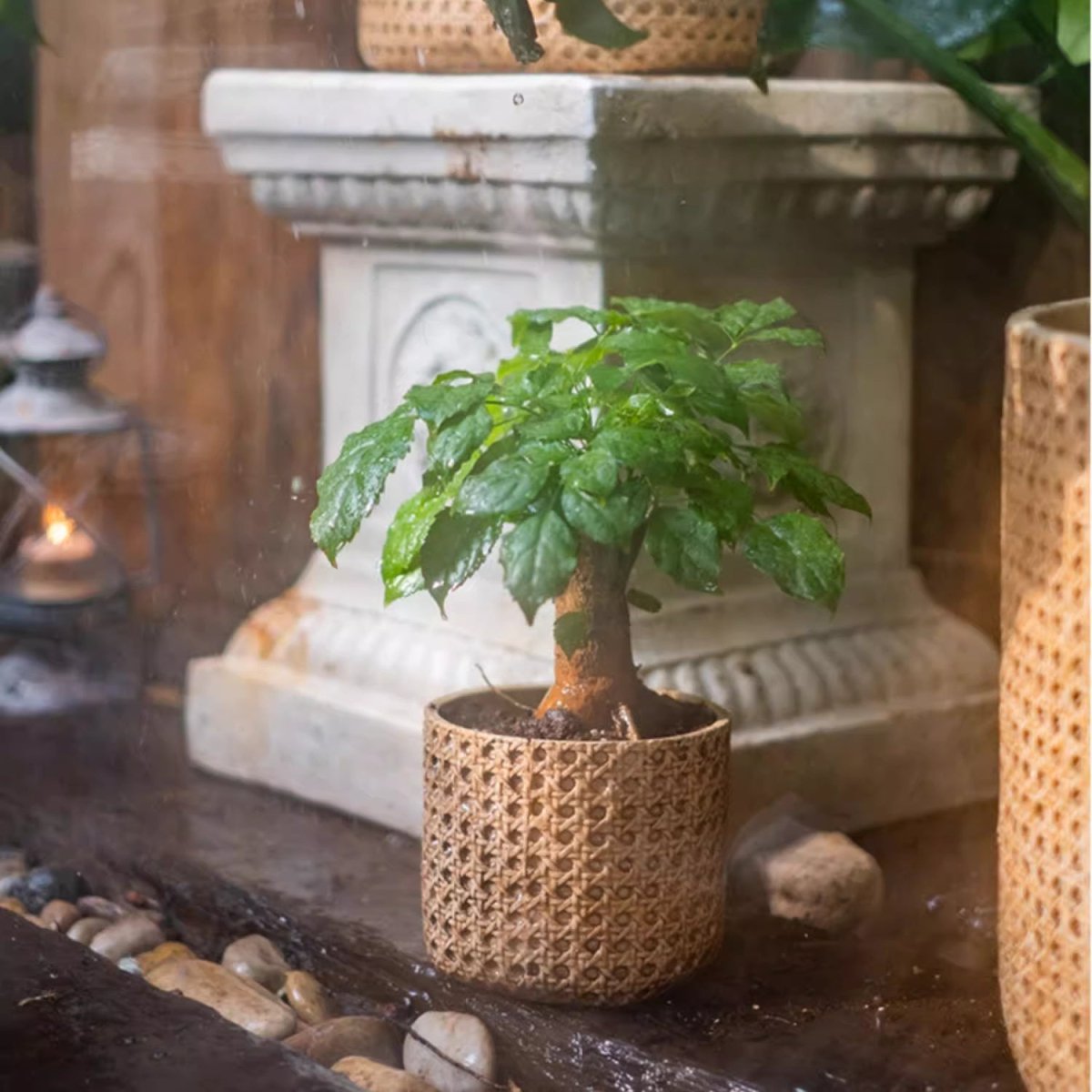 Rattan Texture Cement Planter - RusticReach