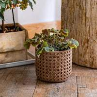 Rattan Texture Cement Planter - RusticReach